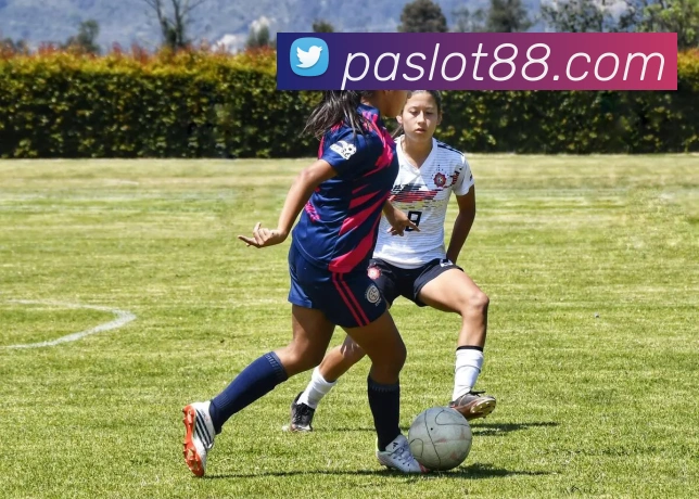 App Interface Preview