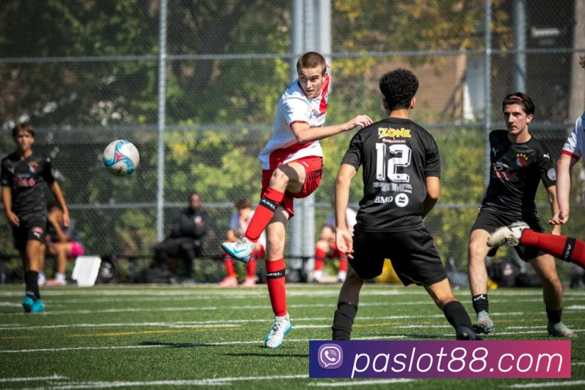 PA视讯APP 封面图