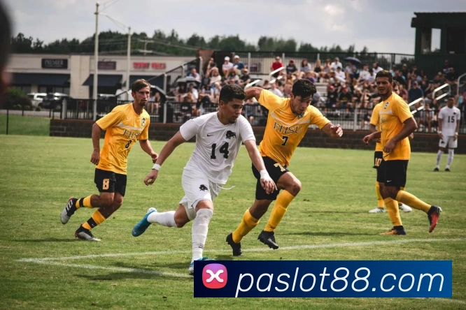 数据防护可视化